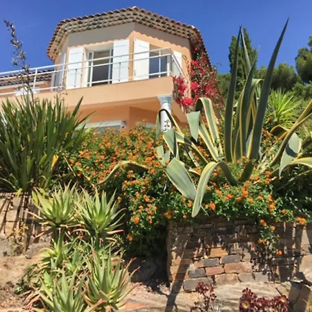 Вілла Lili Rose